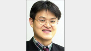 [기자의 눈/서정보]중간광고‘별거아닌 묘약’? 희한한 찬성논리