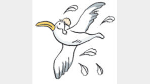 [오늘의 날씨/11월29일]겨울철새들 왁자지껄