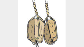 [오늘의 날씨/12월8일]절기상 대설(大雪)에 접어들면…