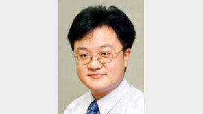 [기자의 눈/전승훈]외국스타 세금대납…치솟는 티켓 가격