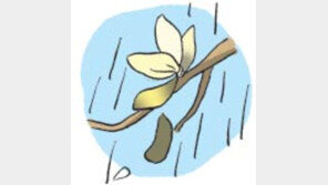 [오늘의 날씨/ 4월 11일]봄은 벌써 늙어간다
