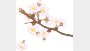 [오늘의 날씨/4월14일]봄이 우리 곁에 머무는 시간이…