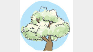 [오늘의 날씨/4월29일]이팝나무 하얗게 꽃피는 시절…