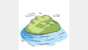 [오늘의 날씨/5월 8일]2004년 스리랑카에 지진해일이…