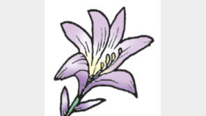 [오늘의 날씨/5월30일]꽃을 피우는 생명의 힘