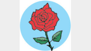 [오늘의 날씨/6월 16일]불볕더위에 장미들이 타오를 듯