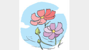 [오늘의 날씨/8월 9일]입추·말복, 지난 더위 끝자락