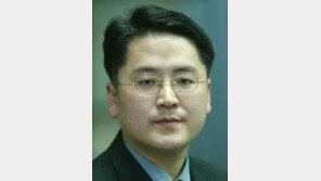 [기자의 눈/부형권]‘IP세대’ 영파워의 재발견