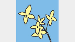 [오늘의 날씨/4월10일]개나리의 이유있는 항변