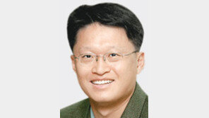 [기자의 눈/양종구]그라운드서도 거리서도 이젠 축구 자체를 즐길 때