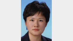 [기자의 눈/조수진]민주 “천안함 외교 실패” 비판 자격 있나