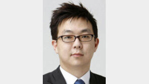 [기자의 눈/손택균]‘국가대표 미술관’ 허술한 설계공모 극복할까