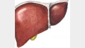 [헬스&뷰티]술, 간의 적!… 간의 친구는 야채