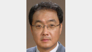 [동아광장/송의영]외환보유액 많다고 좋은가