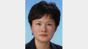 [기자의 눈/조수진]의원 21명 관광성수기에 스웨덴 간 까닭은