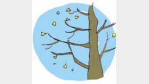 [오늘의 날씨/11월11일]나뒹구는 낙엽에 코끝 ‘찡’