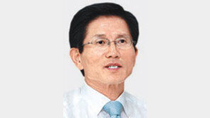 [수도권]김문수 지사, 외국인투자가 다독이기