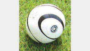 [오늘의 동아일보]올해 美서 뜬 첨단기술은 外