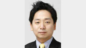 [기자의 눈/이세형]신흥경제권에 대한 관심, 아직은 ‘속빈 강정’