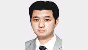 [기자의 눈/황규인]‘입양아 신상 공개’ 광고… 그들의 인권은 어디로