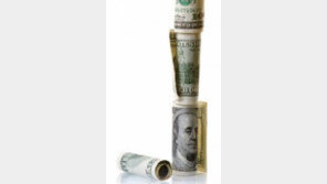 [DBR 칼럼]‘승자의 저주’가 축복되려면…