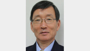 [동아광장/안세영]섣부른 유화책으로 평화 못 산다