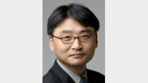 [기자의 눈/이동영]서울시장을 인기로만 하나