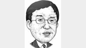 [기고/장진성]연평도 피격 1주년…“강해야 善할 수 있다”
