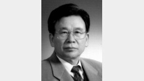 [기고/신형식]진정한 ‘글로벌 해양강국’ 백제