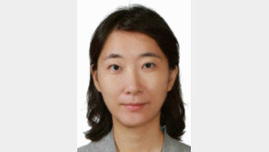 [기자의 눈/조이영]세계로 뻗는 서울시향, 퇴보하는 KBS교향악단