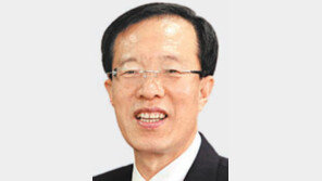 이석연 변호사 “허깨비 쫓아 헛다리-헛소리… 정치권 보면 ‘3헛’ 생각나”