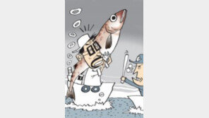 온난화로 ‘金태’ 되자 ‘명태 밀수’ 60배로 증가