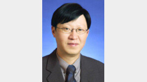 [동아광장/김소영]금융세계화, 한국은 준비돼있나