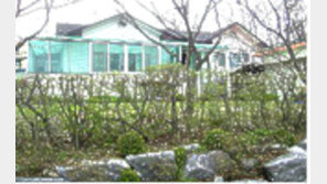 [동아알앤씨 추천매물] 제주시 구좌읍 대지582㎡가 4천5백만원