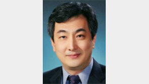 [시론/홍성필]탈북자 국제 이슈화로 北送막자