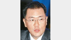 정의선 현대차 부회장 ‘광폭 경영’