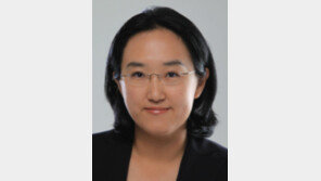 [기자의 눈/ 곽민영]민주 미디어공약 ‘종편 죽이기’