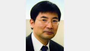 [기고/서성록]한류 열기, 순수예술 분야까지 넓히자