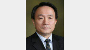 [시론/이주흠]아웅산 수치 여사를 응원한다