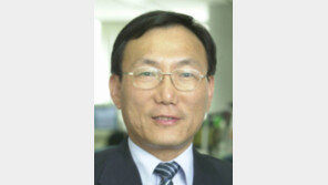 [시론/김용호]재외국민선거 확 뜯어고쳐야