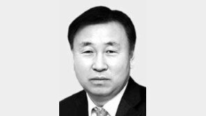 [광화문에서/윤영호]SD의 무모한 도전