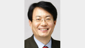 [광화문에서/김동원]폼페이의 눈물