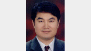 [기고/모창환]스웨덴처럼 보행권 존중하는 사회 만들려면…