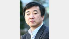 모든 빛에 반응하는 나노안테나… 태양광 효율 ‘쑥’