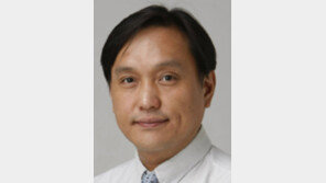 [광화문에서/황태훈]‘태권영웅’ 욕망의 끝