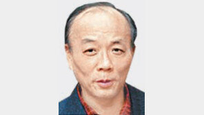 전원책 “김정일 개××로 부르면 종북세력 아니다”