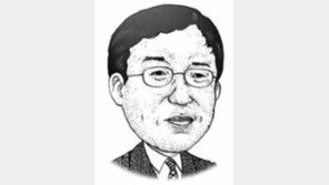 [기고/장진성]나는 북한을 비판할 줄 아는 진정한 진보주의자다