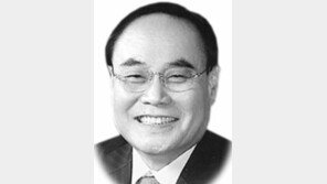 [시론/이영수]국군 전사자 유해 끝까지 발굴해야