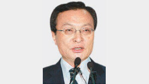 [임수경, 탈북자에 막말 파문]이해찬 “北인권 문제 제기하는 건 내정간섭-외교 결례”