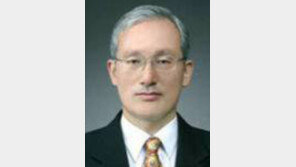 [기고/안성호]74개 자치구-군 의회 폐지案 주민투표 거쳐 결정해야